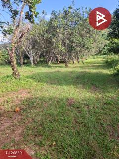 ขายที่ดินเปล่า เนื้อที่ 6 ไร่ 1 งาน 57 ตารางวา ขุนตาล เชียงราย-202511201138581763613538184.jpg