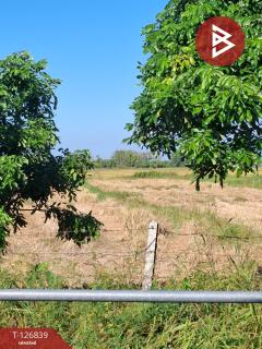 ขายที่ดินเปล่า เนื้อที่ 6 ไร่ 1 งาน 57 ตารางวา ขุนตาล เชียงราย-202511201138581763613538730.jpg