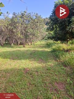 ขายที่ดินเปล่า เนื้อที่ 6 ไร่ 1 งาน 57 ตารางวา ขุนตาล เชียงราย-202511201138591763613539266.jpg