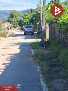 ขายที่ดินเปล่า เนื้อที่ 6 ไร่ 1 งาน 57 ตารางวา ขุนตาล เชียงราย-202511201139001763613540342.jpg