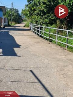 ขายที่ดินเปล่า เนื้อที่ 6 ไร่ 1 งาน 57 ตารางวา ขุนตาล เชียงราย-202511201139001763613540873.jpg