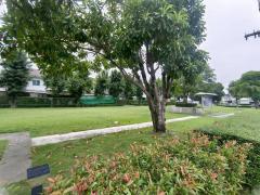 ขาย ทาวน์เฮาส์ 2 ชั้น หมู่บ้าน พฤกษาวิลล์ 67 บ้านพร้อมอยู่ฟังก์ชันบ้านเดี่ยว อ้อมน้อย สามพราน-202511201145491763613949137.jpg