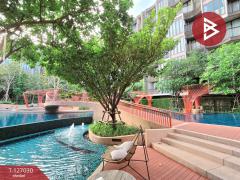 ขาย/เช่าคอนโด คาวะเฮาส์ อ่อนนุช77 (Kawa Haus) กรุงเทพมหานคร-202511201152381763614358286.jpg