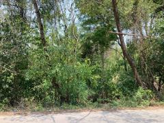 ที่ดินสวยทำเลท่องเที่ยว ให้เช่า/ขาย - พระพุทธฉาย เมืองสระบุรี-202511201523341763627014656.jpg