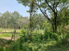 ที่ดินสวยทำเลท่องเที่ยว ให้เช่า/ขาย - พระพุทธฉาย เมืองสระบุรี-202511201523361763627016697.jpg