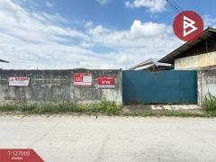 ขายที่ดิน เนื้อที่ 86 ตร.วา สันกำแพง เชียงใหม่-202511201528191763627299771.jpg