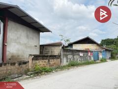 ขายที่ดิน เนื้อที่ 86 ตร.วา สันกำแพง เชียงใหม่-202511201528201763627300875.jpg