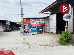 ขายที่ดิน เนื้อที่ 86 ตร.วา สันกำแพง เชียงใหม่-202511201528211763627301816.jpg