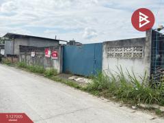 ขายที่ดิน เนื้อที่ 86 ตร.วา สันกำแพง เชียงใหม่-202511201528221763627302385.jpg