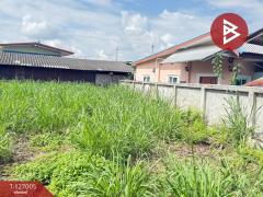 ขายที่ดิน เนื้อที่ 86 ตร.วา สันกำแพง เชียงใหม่-202511201528231763627303471.jpg