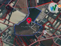 ขายที่ดิน  68-3-20 ไร่ ในบ้านโพธิ์ ฉะเชิงเทรา ทำเลดี ใกล้ถนนหลัก เหมาะสำหรับการลงทุน-202511201557331763629053444.jpg