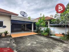 ขายบ้านเดี่ยวชั้นเดียว เนื้อที่ 1 งาน บางแพ ราชบุรี-202511201604541763629494068.jpg