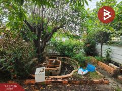 ขายบ้านเดี่ยวชั้นเดียว เนื้อที่ 1 งาน บางแพ ราชบุรี-202511201604551763629495177.jpg