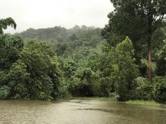 ขายบ้านทรงรีสอร์ท ใกล้เขา ติดลำธาร จังหวัดปราจีนบุรี-202511201629061763630946766.jpg