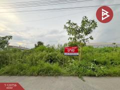 ขายที่ดินเปล่า 6 แปลง ต.เทพารักษ์ อ.เมืองสมุทรปราการ จ.สมุทรปราการ-202511201655591763632559604.jpg