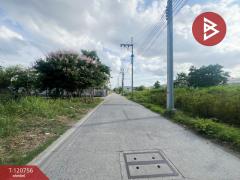 ขายที่ดินเปล่า 6 แปลง ต.เทพารักษ์ อ.เมืองสมุทรปราการ จ.สมุทรปราการ-202511201656021763632562935.jpg