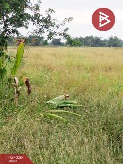 ขายที่ดิน เนื้อที่ 3 ไร่ เทิง เชียงราย