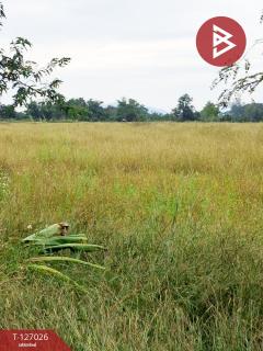 ขายที่ดิน เนื้อที่ 3 ไร่ เทิง เชียงราย-202511201711111763633471066.jpg