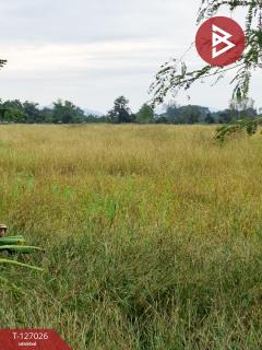 ขายที่ดิน เนื้อที่ 3 ไร่ เทิง เชียงราย-202511201711111763633471638.jpg