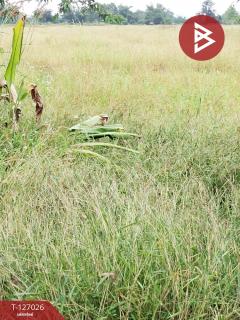 ขายที่ดิน เนื้อที่ 3 ไร่ เทิง เชียงราย-202511201711121763633472196.jpg