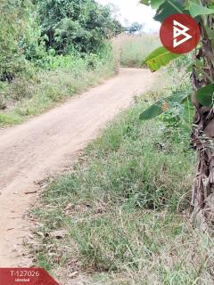 ขายที่ดิน เนื้อที่ 3 ไร่ เทิง เชียงราย-202511201711121763633472754.jpg