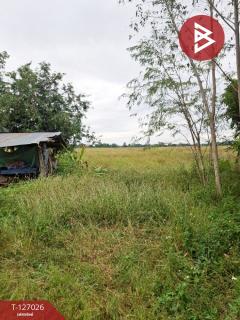 ขายที่ดิน เนื้อที่ 3 ไร่ เทิง เชียงราย-202511201711141763633474483.jpg