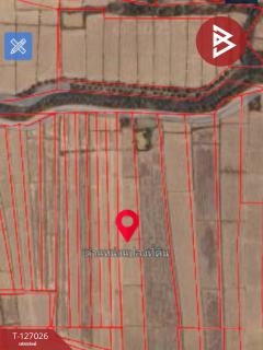 ขายที่ดิน เนื้อที่ 3 ไร่ เทิง เชียงราย-202511201711151763633475039.jpg