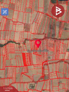 ขายที่ดิน เนื้อที่ 3 ไร่ เทิง เชียงราย-202511201711161763633476139.jpg