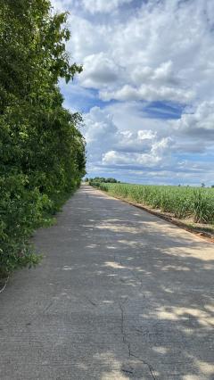 ขายที่ดินเปล่า ทำเลดี  ต.หนองกุ่ม อ.บ่อพลอย จ.กาญจนบุรี