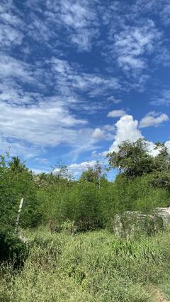 ขายที่ดินเปล่า ทำเลดี  ต.หนองกุ่ม อ.บ่อพลอย จ.กาญจนบุรี-202511210903281763690608188.jpg