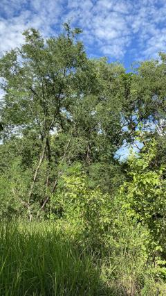 ขายที่ดินเปล่า ทำเลดี  ต.หนองกุ่ม อ.บ่อพลอย จ.กาญจนบุรี-202511210903281763690608777.jpg