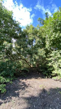 ขายที่ดินเปล่า ทำเลดี  ต.หนองกุ่ม อ.บ่อพลอย จ.กาญจนบุรี-202511210903301763690610517.jpg