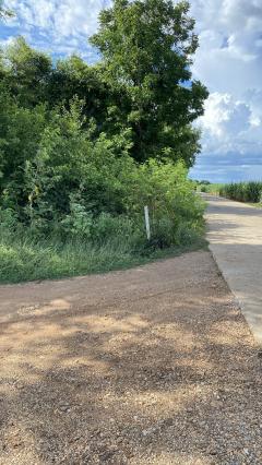 ขายที่ดินเปล่า ทำเลดี  ต.หนองกุ่ม อ.บ่อพลอย จ.กาญจนบุรี-202511210903311763690611528.jpg