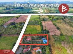 ขายบ้านเดี่ยวพร้อมที่ดิน เนื้อที่ 3 ไร่ 1 งาน 80 ตร.วา บ้านไร่ อุทัยธานี-202511211209301763701770553.jpg