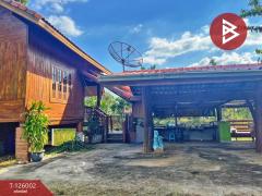 ขายบ้านเดี่ยวพร้อมที่ดิน เนื้อที่ 3 ไร่ 1 งาน 80 ตร.วา บ้านไร่ อุทัยธานี-202511211209321763701772891.jpg