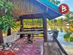 ขายบ้านเดี่ยวพร้อมที่ดิน เนื้อที่ 3 ไร่ 1 งาน 80 ตร.วา บ้านไร่ อุทัยธานี-202511211209331763701773445.jpg