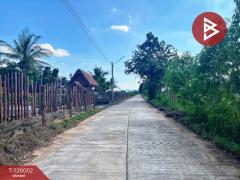 ขายบ้านเดี่ยวพร้อมที่ดิน เนื้อที่ 3 ไร่ 1 งาน 80 ตร.วา บ้านไร่ อุทัยธานี-202511211209331763701773991.jpg