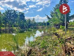 ขายบ้านเดี่ยวพร้อมที่ดิน เนื้อที่ 3 ไร่ 1 งาน 80 ตร.วา บ้านไร่ อุทัยธานี-202511211209341763701774539.jpg