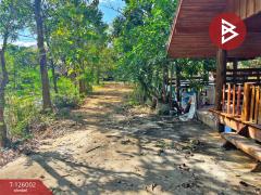 ขายบ้านเดี่ยวพร้อมที่ดิน เนื้อที่ 3 ไร่ 1 งาน 80 ตร.วา บ้านไร่ อุทัยธานี-202511211209351763701775095.jpg