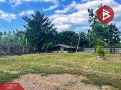 ขายบ้านเดี่ยวพร้อมที่ดิน เนื้อที่ 3 ไร่ 1 งาน 80 ตร.วา บ้านไร่ อุทัยธานี-202511211209361763701776195.jpg