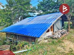 ขายบ้านเดี่ยวพร้อมที่ดิน เนื้อที่ 3 ไร่ 1 งาน 80 ตร.วา บ้านไร่ อุทัยธานี-202511211209361763701776752.jpg