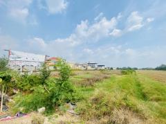 ขาย ที่ดิน ลำลูกกา หทัยราษฎร์ เนื้อที่ 60 ไร่ 2 งาน 7.6 ตรว-202511211211451763701905329.jpg