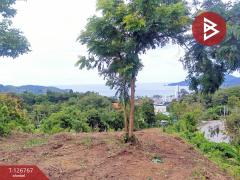 ขายที่ดินเปล่า เนื้อที่ 1 ไร่ 2 งาน 72 ตารางวา กะทู้ ภูเก็ต-202511211333441763706824824.jpg