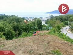 ขายที่ดินเปล่า เนื้อที่ 1 ไร่ 2 งาน 72 ตารางวา กะทู้ ภูเก็ต-202511211333451763706825402.jpg