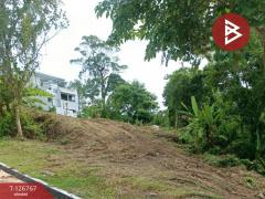 ขายที่ดินเปล่า เนื้อที่ 1 ไร่ 2 งาน 72 ตารางวา กะทู้ ภูเก็ต-202511211333461763706826017.jpg