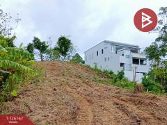 ขายที่ดินเปล่า เนื้อที่ 1 ไร่ 2 งาน 72 ตารางวา กะทู้ ภูเก็ต-202511211333461763706826577.jpg