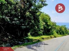 ขายที่ดินเปล่า เนื้อที่ 1 ไร่ 2 งาน 72 ตารางวา กะทู้ ภูเก็ต-202511211333501763706830320.jpg