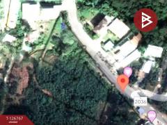 ขายที่ดินเปล่า เนื้อที่ 1 ไร่ 2 งาน 72 ตารางวา กะทู้ ภูเก็ต-202511211333501763706830867.jpg