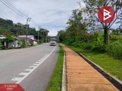 ขายที่ดินเปล่า เนื้อที่ 1 ไร่ 2 งาน 72 ตารางวา กะทู้ ภูเก็ต-202511211333511763706831414.jpg