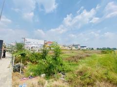 ขาย ที่ดิน ลำลูกกา หทัยราษฎร์      16 ไร่ 2 งาน 31 ตรว-202511211348201763707700790.jpg